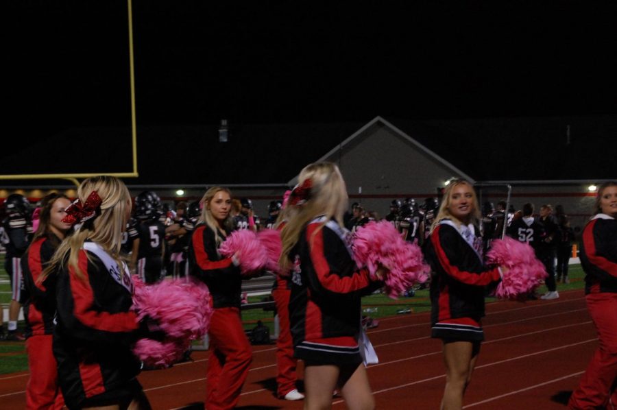 The cheerleaders performing a cheer to the crowd.