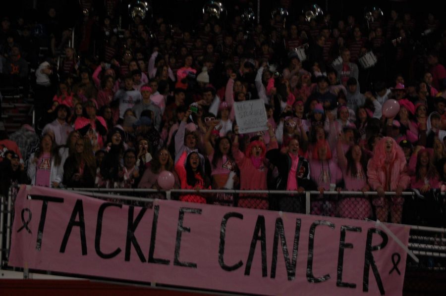 The Black Hole theme was Pink Out.