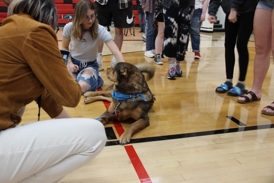 Senior Leah Kent hanging out with one of the service dogs. 
