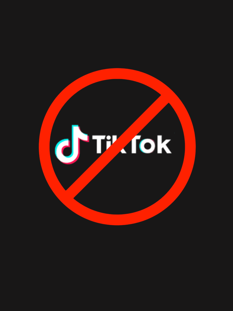 Graphic created to represent the TikTok ban. 