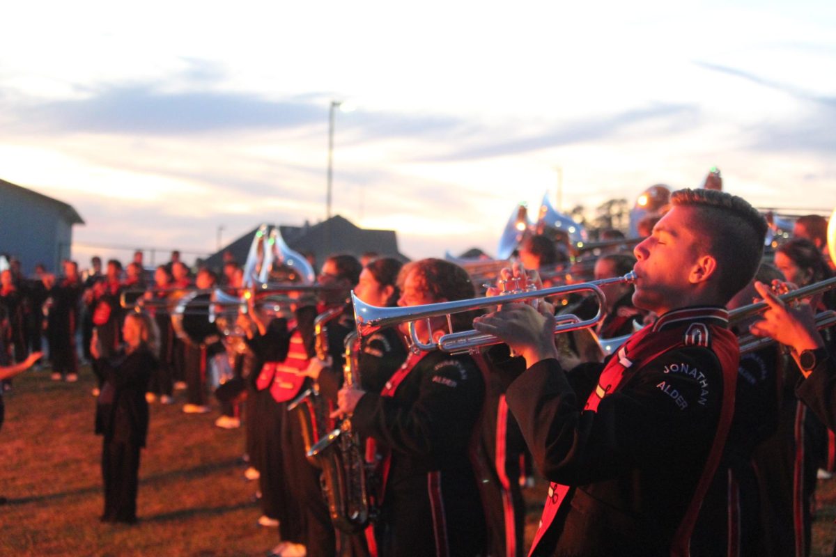The Jonathan Alder Band performs in the light of the bonfire. 